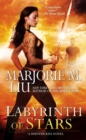 Labyrinth of Stars - eBook