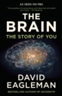 Brain - eBook