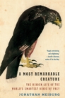 Most Remarkable Creature - eBook
