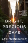 Bright, Precious Days - eBook