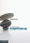 An Introduction to EU Competition Law - eBook
