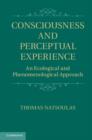 Consciousness and Perceptual Experience : An Ecological and Phenomenological Approach - eBook