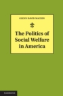 Politics of Social Welfare in America - eBook