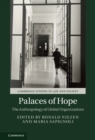 Palaces of Hope : The Anthropology of Global Organizations - eBook