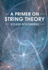 Primer on String Theory - eBook