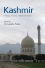 Kashmir : History, Politics, Representation - eBook