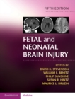 Fetal and Neonatal Brain Injury - eBook