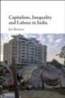 Capitalism, Inequality and Labour in India - eBook