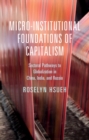 Micro-institutional Foundations of Capitalism - eBook