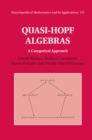 Quasi-Hopf Algebras : A Categorical Approach - eBook
