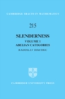 Slenderness: Volume 1, Abelian Categories - eBook
