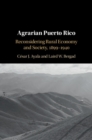 Agrarian Puerto Rico : Reconsidering Rural Economy and Society, 1899-1940 - eBook