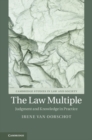 Law Multiple : Judgment and Knowledge in Practice - eBook
