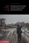 Detention by Non-State Armed Groups under International Law - eBook