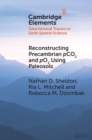 Reconstructing Precambrian pCO2 and pO2 Using Paleosols - eBook
