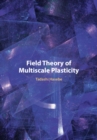 Field Theory of Multiscale Plasticity - eBook