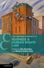 The Cambridge Companion to Business and Human Rights Law - eBook