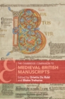 Cambridge Companion to Medieval British Manuscripts - eBook