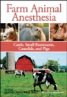 Farm Animal Anesthesia : Cattle, Small Ruminants, Camelids, and Pigs - eBook