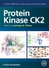 Protein Kinase CK2 - eBook