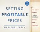 Setting Profitable Prices : A Step-by-Step Guide to Pricing Strategy--Without Hiring a Consultant - eBook