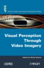 Visual Perception Through Video Imagery - eBook