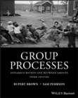 Group Processes : Dynamics within and Between Groups - eBook