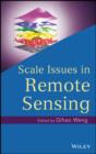 Scale Issues in Remote Sensing - eBook