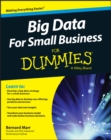 Big Data For Small Business For Dummies - eBook