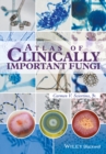 Atlas of Clinically Important Fungi - eBook