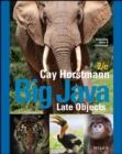 Big Java : Late Objects - eBook