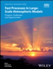 Fast Processes in Large-Scale Atmospheric Models : Progress, Challenges, and Opportunities - Book