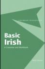 Basic Irish: A Grammar and Workbook - eBook