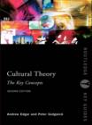 Cultural Theory: The Key Concepts - eBook