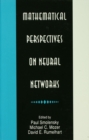 Mathematical Perspectives on Neural Networks - eBook