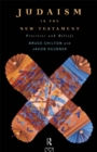 Judaism in the New Testament : Practices and Beliefs - eBook