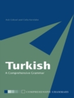 Turkish: A Comprehensive Grammar - eBook