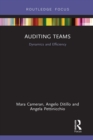 Auditing Teams : Dynamics and Efficiency - eBook