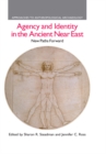Agency and Identity in the Ancient Near East : New Paths Forward - eBook