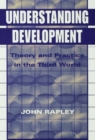 Understanding Development : Theory And Practice In The Third World - eBook