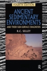 Ancient Sedimentary Environments : And Their Sub-surface Diagnosis - eBook
