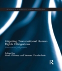 Litigating Transnational Human Rights Obligations : Alternative judgments - eBook