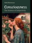 Consciousness : The Science of Subjectivity - eBook