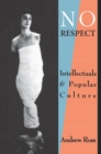 No Respect : Intellectuals and Popular Culture - eBook