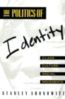 The Politics of Identity : Class, Culture, Social Movements - eBook