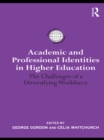 Academic and Professional Identities in Higher Education : The Challenges of a Diversifying Workforce - eBook