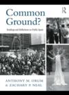 Common Ground? : Readings and Reflections on Public Space - eBook