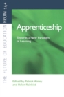 Apprenticeship: Towards a New Paradigm of Learning - eBook