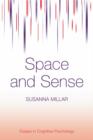 Space and Sense - eBook