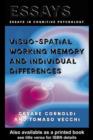 Visuo-spatial Working Memory and Individual Differences - eBook